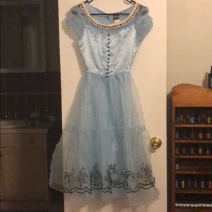 Disney Alice in Wonderland Costume